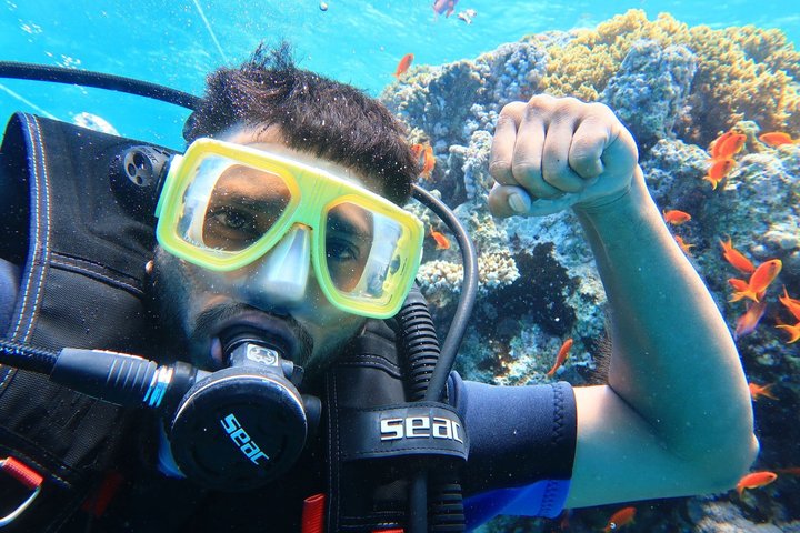 Snorkeling sull'isola di Tiran, crociera subacquea e pranzo - Sharm el Sheik