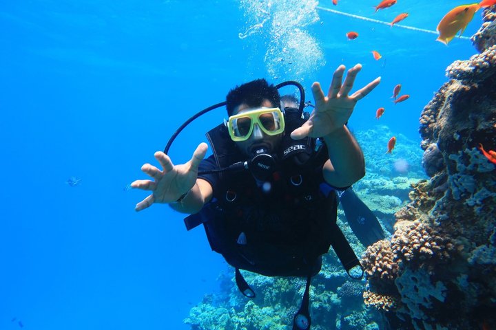 Snorkeling sull'isola di Tiran, crociera subacquea e pranzo - Sharm el Sheik