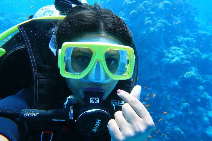 Snorkeling sull'isola di Tiran, crociera subacquea e pranzo - Sharm el Sheik