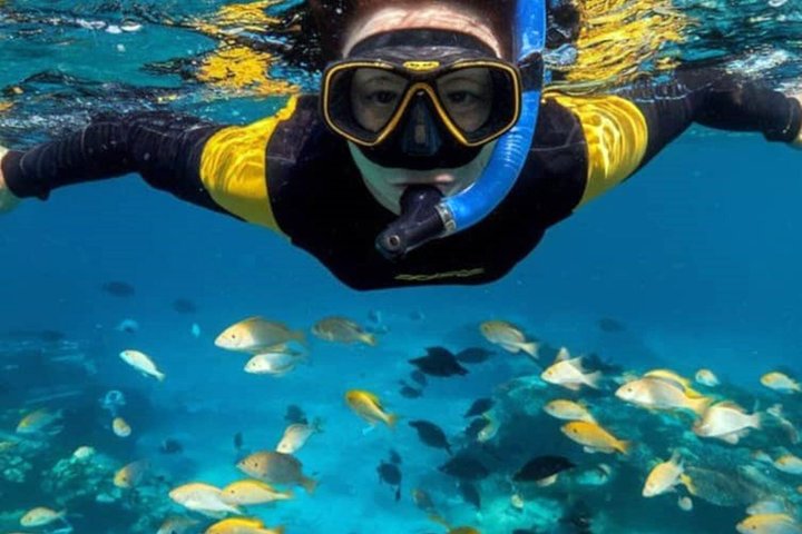 Simma med delfin och snorkling äventyr på Mnemba Island