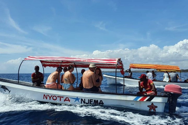Simma med delfin och snorkling äventyr på Mnemba Island