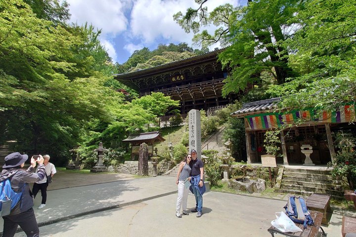Tour personalizzato di mezza giornata del castello di Himeji con Guida autorizzata