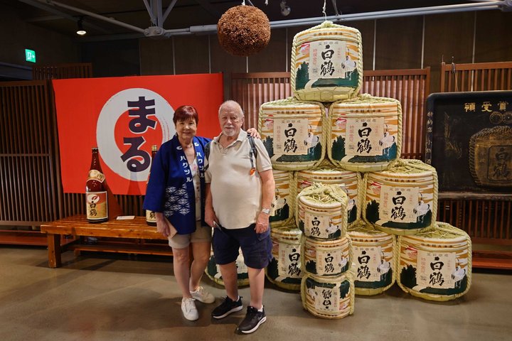 Tour personalizzato di mezza giornata del castello di Himeji con Guida autorizzata