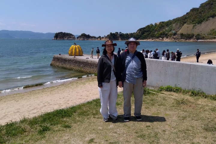 Naoshima Kunstinsel in 1 Tagestour mit lizenziertem Fortgeschrittener