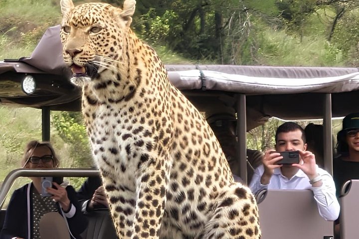 Full Day Pilanesberg Safari Adventure