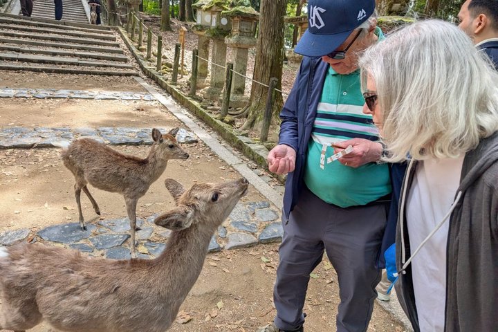 Excursion d'une journée à Nara au départ d'Osaka en voiture privée avec Guide licencié