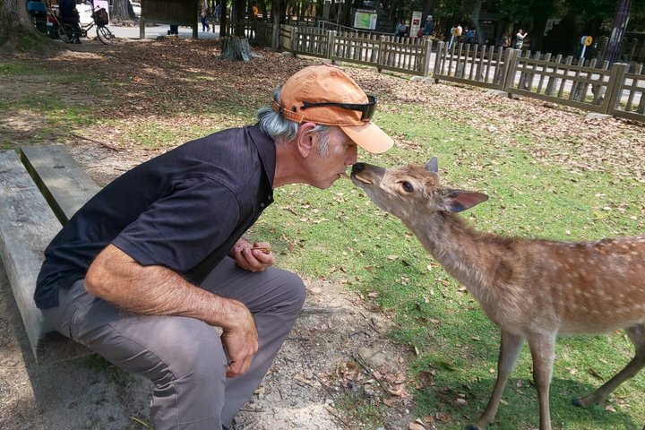 Excursion d'une journée à Nara au départ d'Osaka en voiture privée avec Guide licencié
