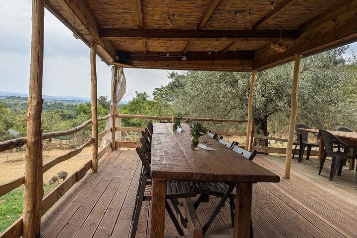 Montepulciano : Tour por la Granja Cinta Senese, Degustación de alimentos & vinos