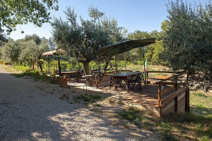 Montepulciano : Tour por la Granja Cinta Senese, Degustación de alimentos & vinos