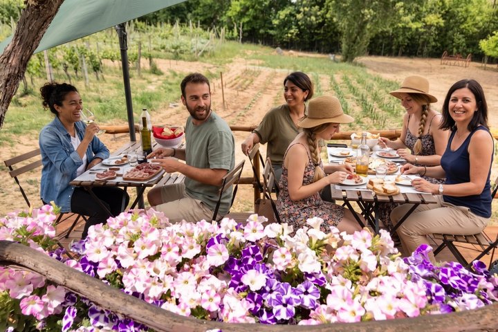 Montepulciano : Tour por la Granja Cinta Senese, Degustación de alimentos & vinos