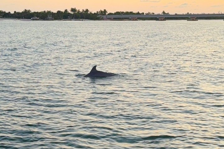 Sunset Tiki Experience-Fort Myers Beach Crucero en Tiki