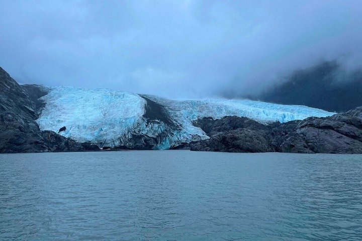 Portage Glacier kryssning Upplev 1 timmes bilresa från Anchorage