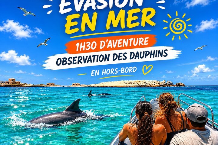 1,5 uur durende zeetocht met zwemmen en dolfijnen kijken