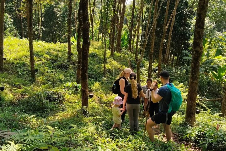 Trekking privato nella giungla di Koh Chang con trasferimento in hotel
