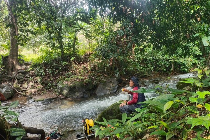 Trekking privato nella giungla di Koh Chang con trasferimento in hotel