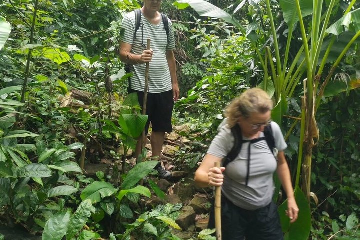Trekking privato nella giungla di Koh Chang con trasferimento in hotel