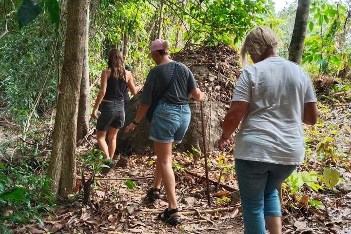 Trekking privato nella giungla di Koh Chang con trasferimento in hotel