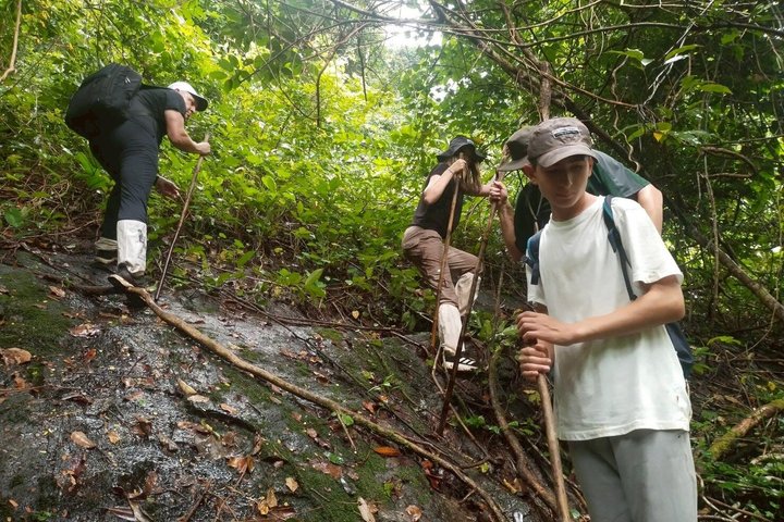 Trekking privato nella giungla di Koh Chang con trasferimento in hotel