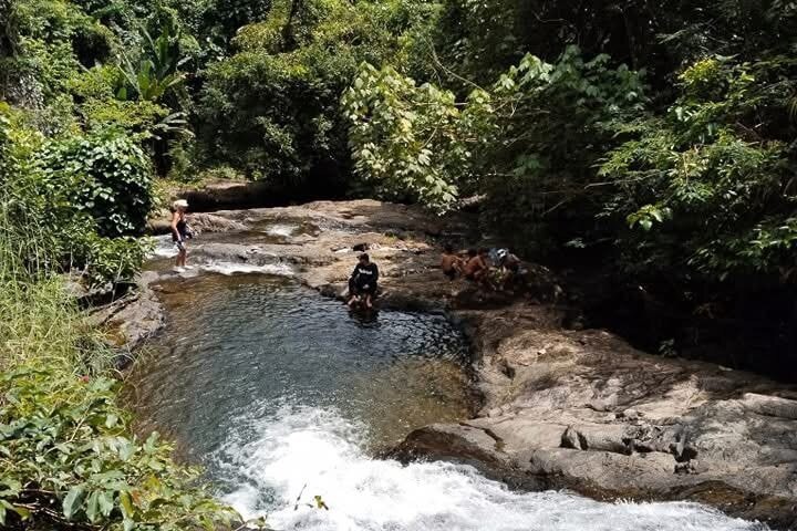 Trekking privato nella giungla di Koh Chang con trasferimento in hotel