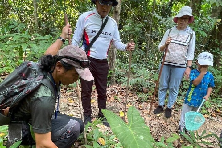 Trekking privato nella giungla di Koh Chang con trasferimento in hotel