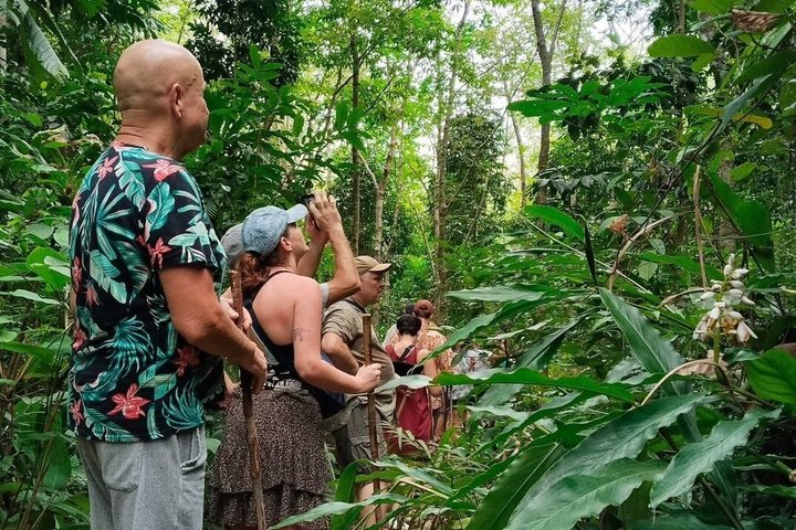 Trekking privato nella giungla di Koh Chang con trasferimento in hotel