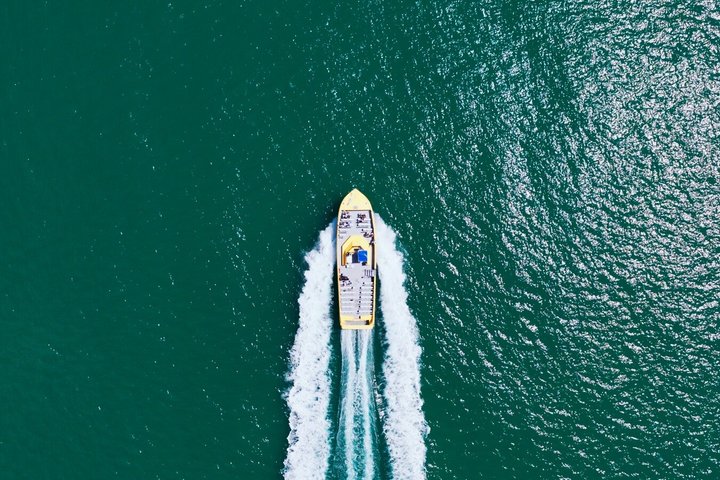 Crucero de aventuras por el Dolphin Racer en St. Pete