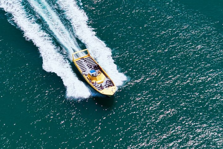 Crucero de aventuras por el Dolphin Racer en St. Pete