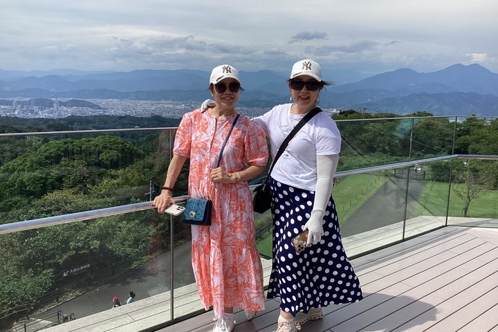 Visite personnalisée du Mont Fuji View Shimizu avec Guide licencié