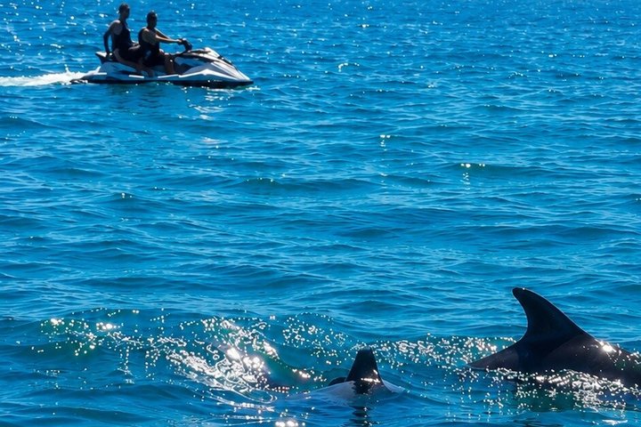 1,5 uur durende zeetocht met zwemmen en dolfijnen kijken