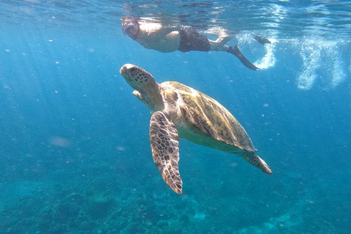 Tour privado de buceo Gili : Tortugas, Arrecifes + GoPro & Drone