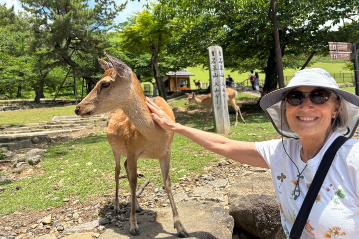 Excursion d'une journée à Nara au départ d'Osaka en voiture privée avec Guide licencié
