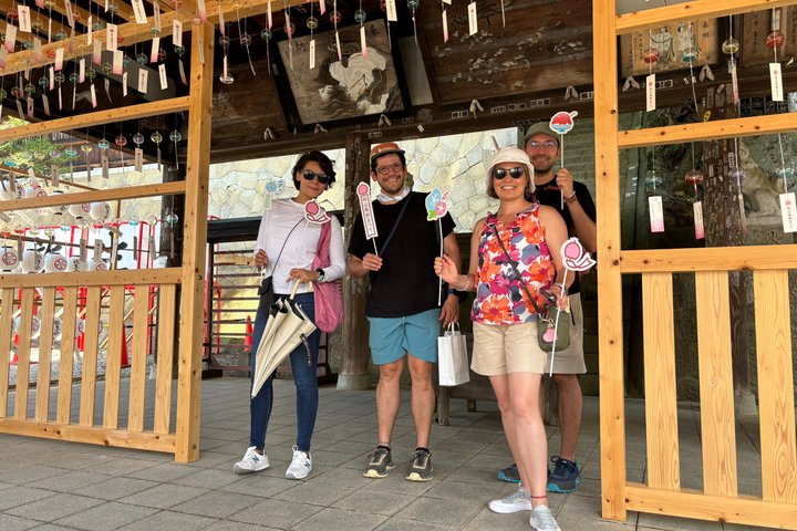 Takayama aangepaste halve dag tour met gelicentieerde lokale Gids