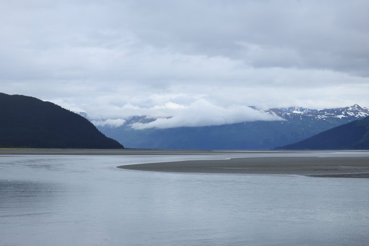 Seward kryssning Transfer med vilda djur och natursköna Tour till Anchorage