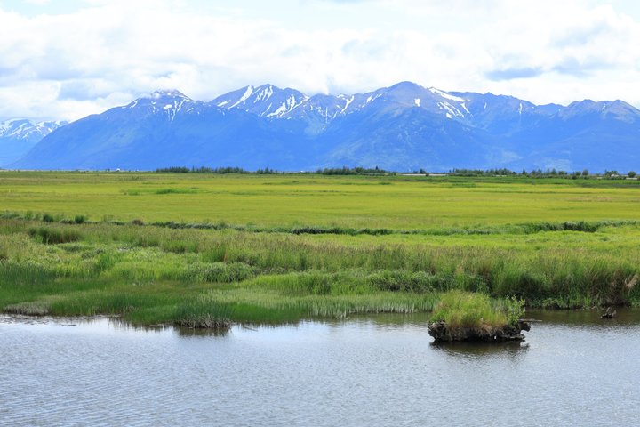 Seward kryssning Transfer med vilda djur och natursköna Tour till Anchorage