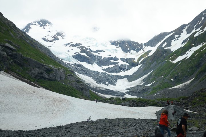 Seward kryssning Transfer med vilda djur och natursköna Tour till Anchorage