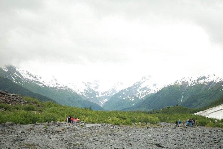 Seward kryssning Transfer med vilda djur och natursköna Tour till Anchorage