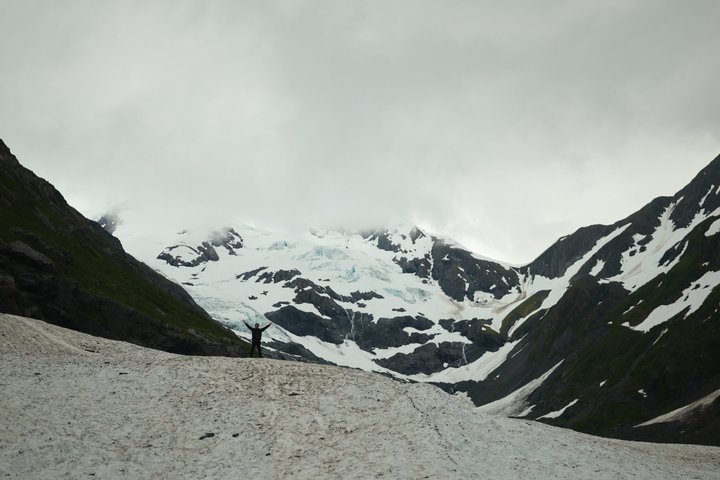 Seward kryssning Transfer med vilda djur och natursköna Tour till Anchorage