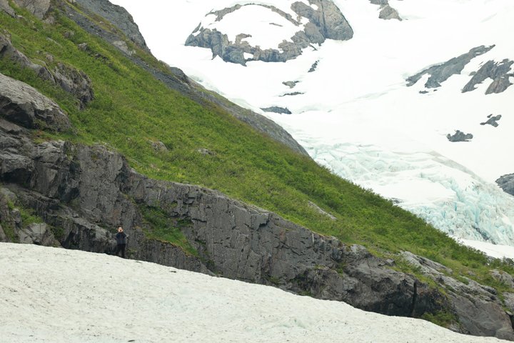 Seward kryssning Transfer med vilda djur och natursköna Tour till Anchorage