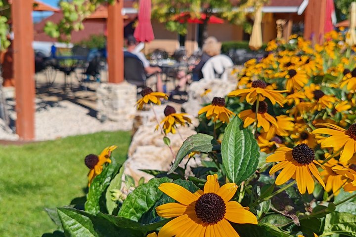 Visite du vin de Kelowna en vélo électrique avec dégustations, déjeuner et vue sur l'Okanagan