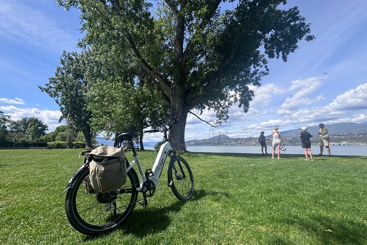 Visite du vin de Kelowna en vélo électrique avec dégustations, déjeuner et vue sur l'Okanagan