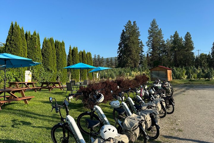 Visite du vin de Kelowna en vélo électrique avec dégustations, déjeuner et vue sur l'Okanagan