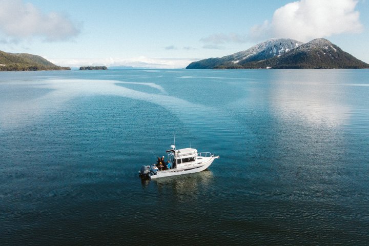 Croisière panoramique Prince William Sound avec café ou charcuterie