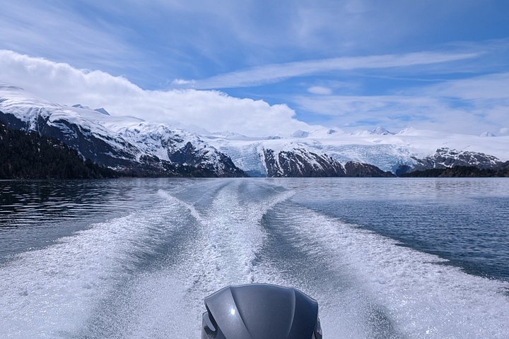 Croisière panoramique Prince William Sound avec café ou charcuterie