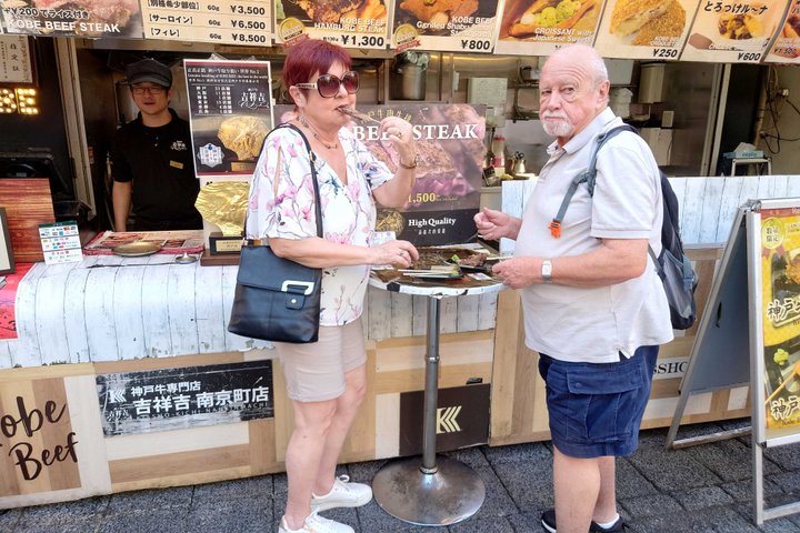 Château de Himeji et Koko-en en 1 jour avec Guide licencié