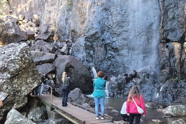 Private Gold Coast Wildlife Wasserfälle und Regenwald Tour