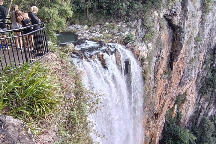 Private Gold Coast Wildlife Wasserfälle und Regenwald Tour