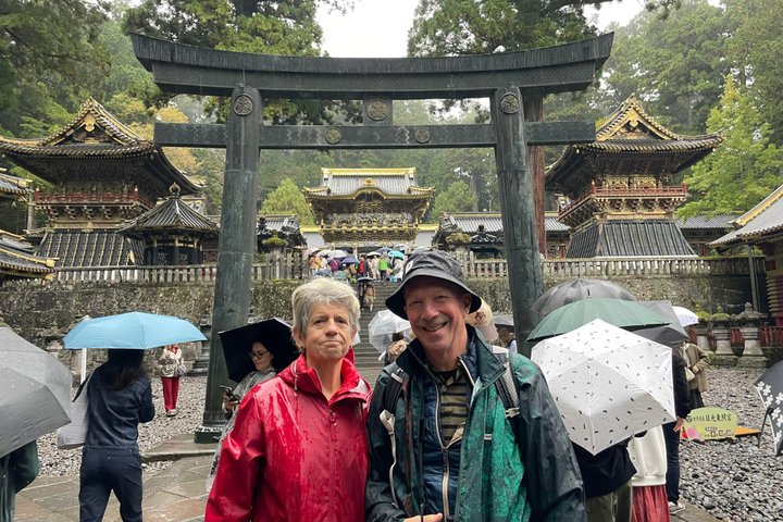 Excursion d'une demi-journée en voiture privée Nikko : Conducteur Anglais, sans Guide