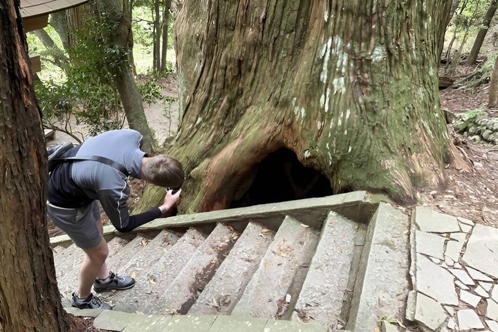 Kumano Kodo Pilgerfahrt in 1 Tag mit lizenziertem Fortgeschrittener