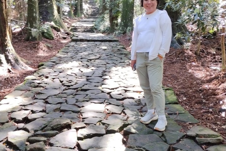 Kumano Kodo Pilgerfahrt in 1 Tag mit lizenziertem Fortgeschrittener