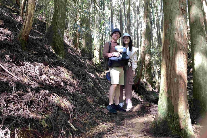 Kumano Kodo Pilgerfahrt in 1 Tag mit lizenziertem Fortgeschrittener